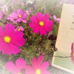 リストの愛の夢